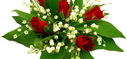Bouquet-de-10-brins-de-muguet-et-5-roses-
